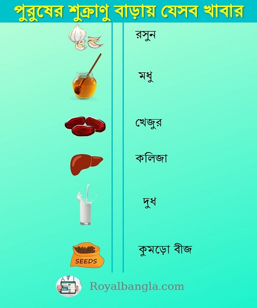 increase male sperm