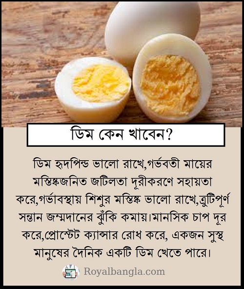 Benefits of Egg