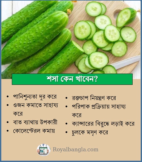 Nutritional value of cucumber