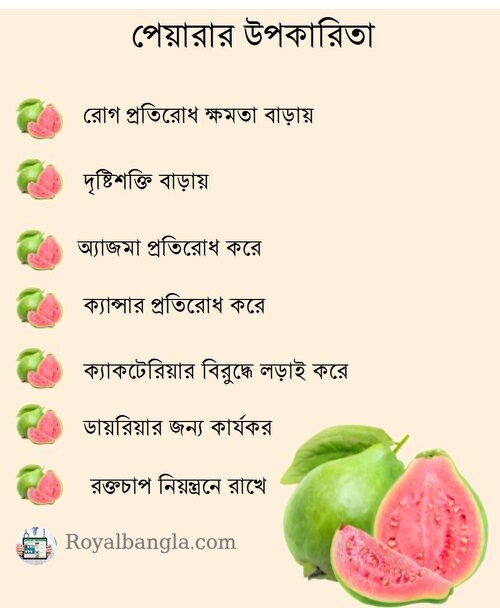 Guava Health Benefits in Bangla
