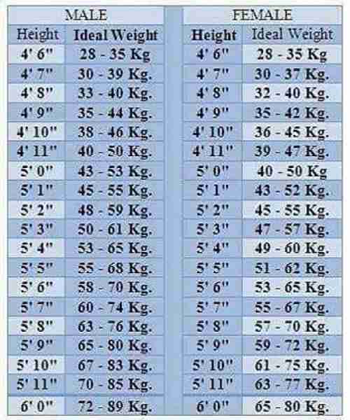 weight-and-height-chart-in-bangla